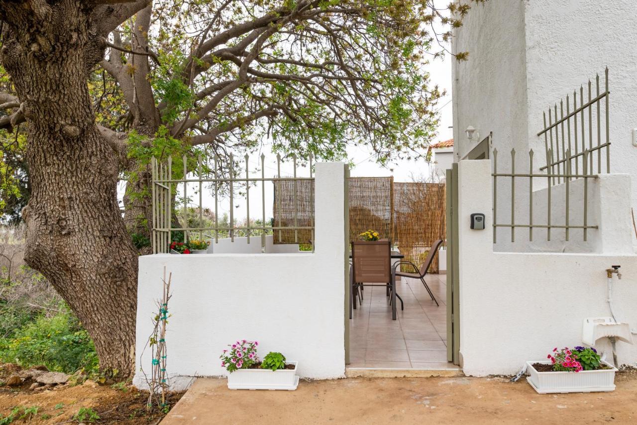 Traditional Suburbs Maisonette Kos Town Ngoại thất bức ảnh